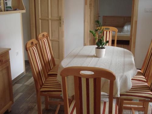 a dining room table with a potted plant on it at Gerendás Vendégház in Sótony