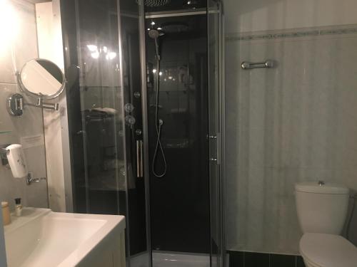 La salle de bains est pourvue d'une douche, de toilettes et d'un lavabo. dans l'établissement HOTEL LES MARRONNIERS, à Thueyts