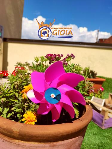 B&B GIOIA – Photos 5