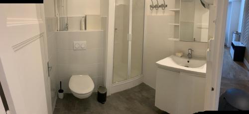 une salle de bain blanche avec des toilettes et un lavabo dans l'établissement Appartement T3 Lyon, part Dieu, à Lyon