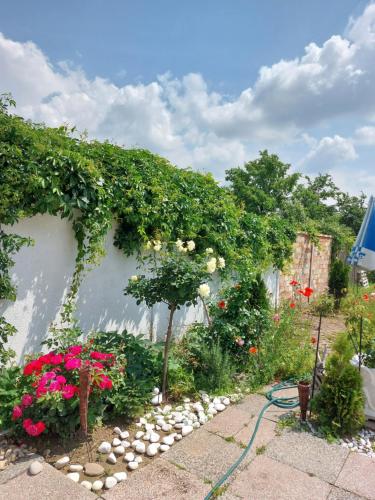 einen Garten mit Blumen und Pflanzen und einer Wand in der Unterkunft Raj in Bela Crkva