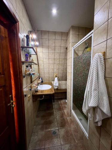 La petite salle de bains est pourvue d'un lavabo et d'une douche. dans l'établissement Mountain Getaway Cabin, à Cheia