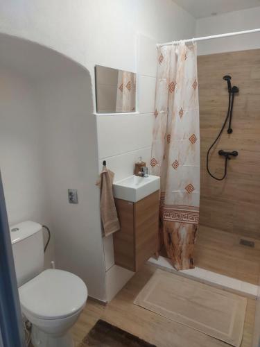 a bathroom with a toilet and a sink and a shower at Picolo apartmany in Levoča