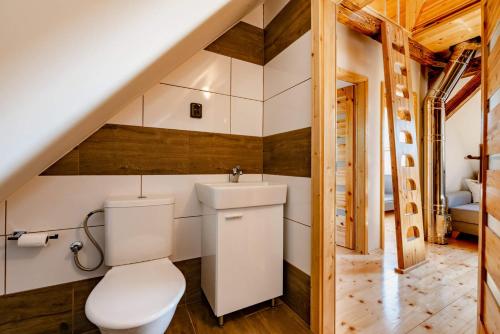La salle de bains est pourvue de toilettes et d'un lavabo. dans l'établissement Apartmány Třebušín, 