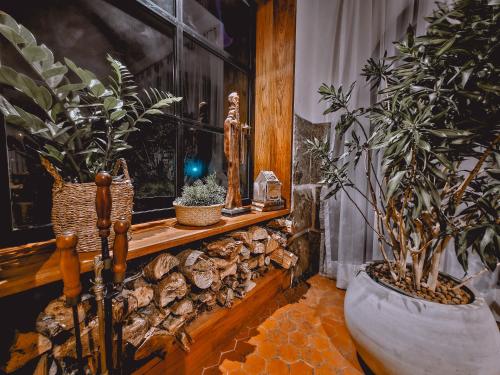 a room with potted plants and a window at Saison Resort & Spa in Itaipava