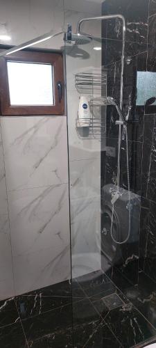 um chuveiro com uma porta de vidro na casa de banho em Vir em Nikšić