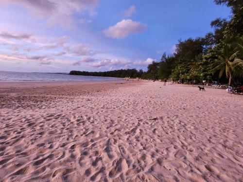a sandy beach with people and a dog on it at STAYHERE@AIRPORT SERVICE APARTMENT in Ban Bo Han