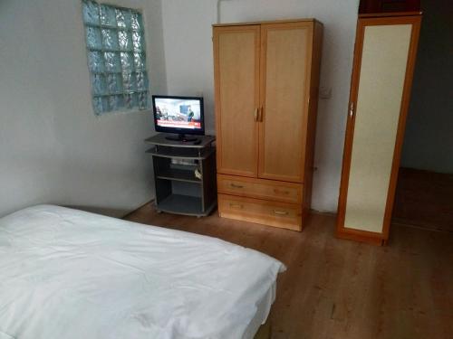 1 dormitorio con 1 cama, TV y armario en Ceylan Köşk Apartman, en Estambul