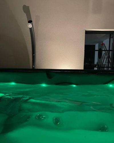 - une baignoire verte avec un pommeau de douche dans la chambre dans l'établissement Gîte Luna ; villa 6 personnes avec jaccuzi, à Chaumont-sur-Loire