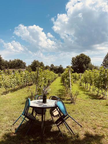 a table and chairs in a field of vines at Village house Velimirović in Danilovgrad
