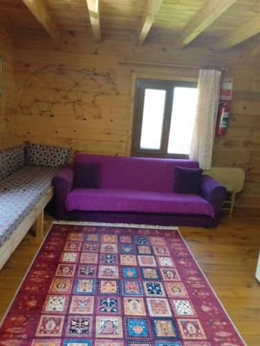 a living room with a purple couch and a rug at Ayder Rainbow Gokkusagi in Ayder Yaylasi