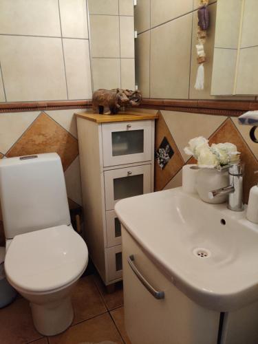 a bathroom with a white toilet and a sink at Omenapolun Onni in Taipalsaari