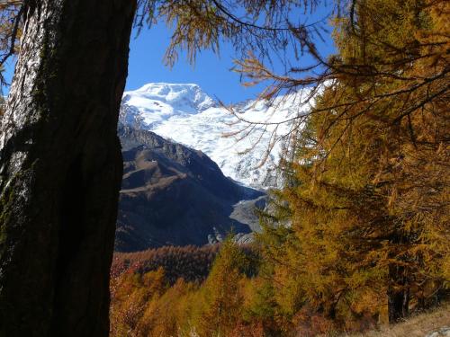 a snow covered mountain in the distance with trees at Apartments Alpenfirn Saas-Fee in Saas-Fee