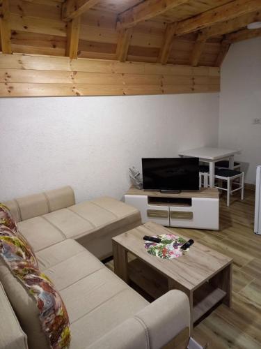 TV a/nebo společenská místnost v ubytování Apartman Andrija