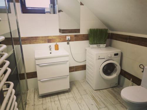 La salle de bains est pourvue d'un lave-linge et d'un lave-linge. dans l'établissement Apartament od Kaszuba, à Żuromin