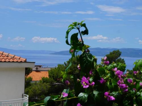 Φυσικό τοπίο κοντά σε αυτό το διαμέρισμα