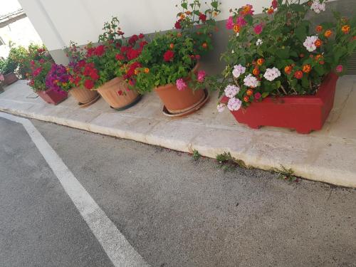 a row of potted plants sitting on a sidewalk at Trullo Chiancola Antica in Alberobello