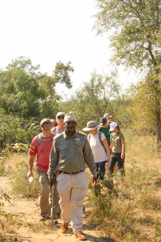 a group of people walking down a dirt trail at Karongwe - River Safari Lodge in Hoedspruit