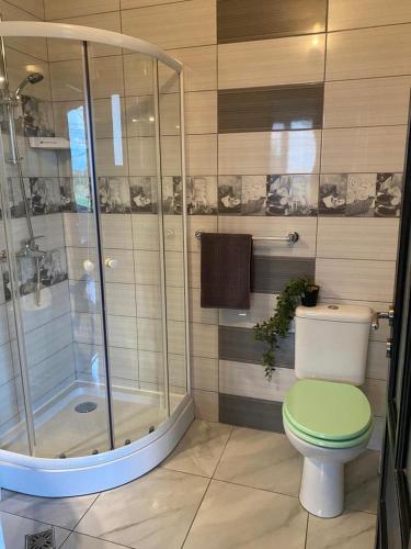 La salle de bains est pourvue d'une douche et de toilettes vertes. dans l'établissement Casa Diana, à Mihai Viteazu