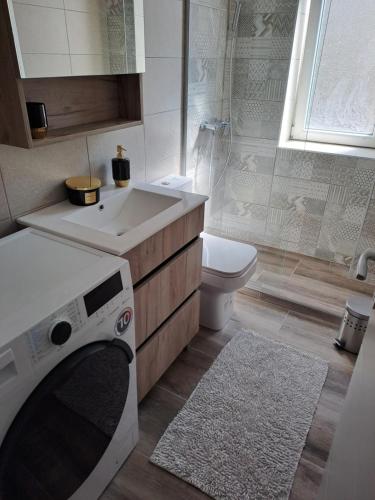 諾維薩德的住宿－Emili apartman，一间带水槽和卫生间的浴室