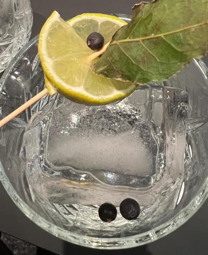 a glass bowl with a lemon slice and black olives at Hotel Lech Da Sompunt in Badia