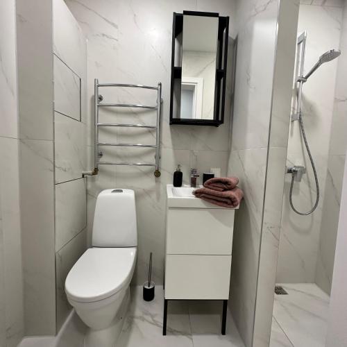 a bathroom with a toilet and a sink and a mirror at Cozy Apartment Kazlų Rūda in Kazlų Rūda