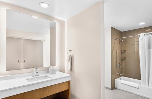 uma casa de banho com um lavatório, um chuveiro e um espelho. em Hyatt Place Houston Medical Center em Houston