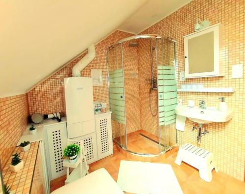 ein Bad mit einer Glasdusche und einem Waschbecken in der Unterkunft Linczi Ház in Csopak