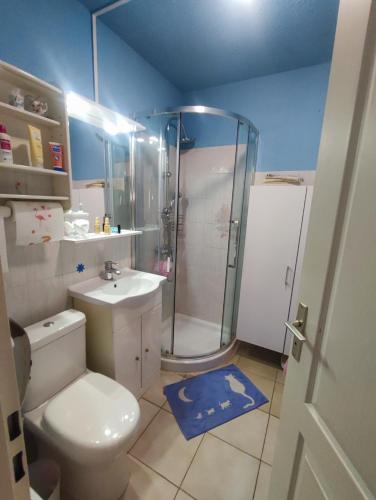 une salle de bain avec une douche, des toilettes et un lavabo dans l'établissement A 5 mn à pied de la mer, piscine ,tennis, paillote, à Cervione