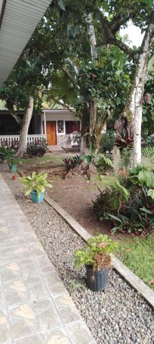 a garden with trees and plants in front of a house at Cabinas Smith in Cahuita
