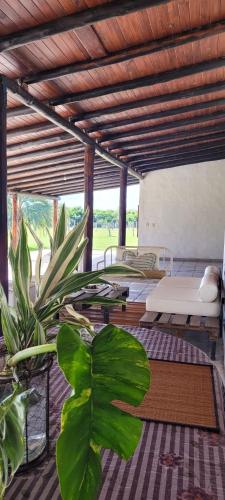 a room with two beds and a plant at Puerto Colla in Esquina