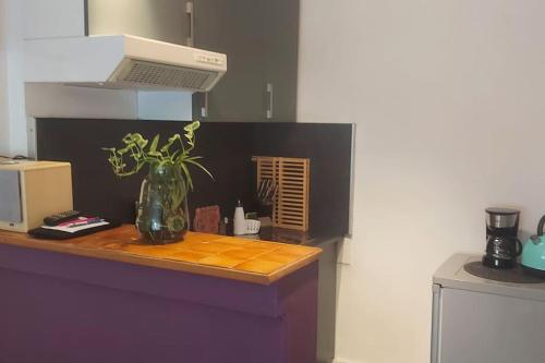 史特拉斯堡的住宿－Studio lumineux，厨房里的花瓶和植物在柜台上