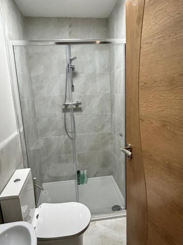 a bathroom with a shower with a toilet and a sink at Blue Haven in Moville