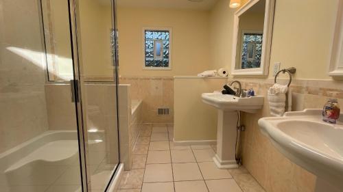 un baño con ducha y lavabo en Morningstar Shores, en Union Pier