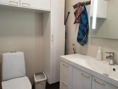 een badkamer met een wit toilet en een wastafel bij Ylläs Terhakka - Uusi huvila kuudelle in Äkäslompolo