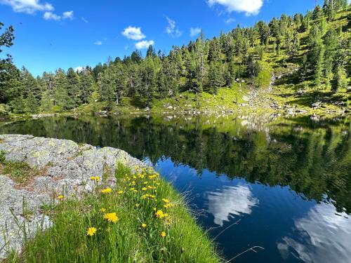 a lake in the middle of a forest at Michlbauer - Kaufmann Aloisia in Sankt Peter ob Judenburg