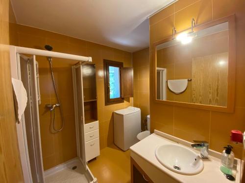 y baño con lavabo, ducha y espejo. en Duplex Altos de Santiago Jardin, en Villanúa