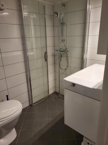 a bathroom with a shower and a toilet and a sink at Sokkelleilighet rett ved Saltstraumen in Bodø