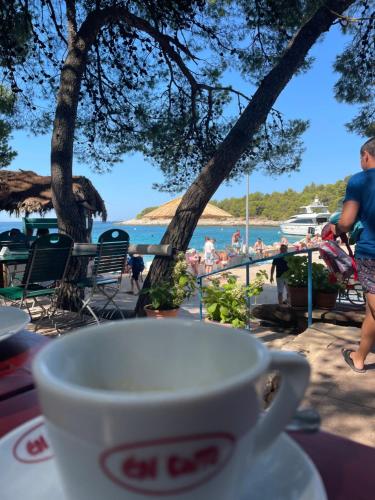 a cup of coffee on a table with a view of the water at Mobile Home Pinija in Jezera