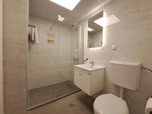 ein Bad mit einer Dusche, einem WC und einem Waschbecken in der Unterkunft 4M Apartments in Ohrid