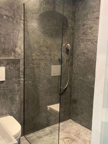 eine Dusche mit Glastür neben einem WC in der Unterkunft Art Loft in Sint-Martens-Latem
