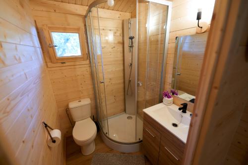 uma casa de banho com um WC, um chuveiro e um lavatório. em Cabaña Rural El Arbol near Setenil - Ronda con piscina em Ronda