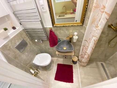 an overhead view of a bathroom with a toilet and a sink at Inter Apartment Vienna-Nähe Schönbrunn Palace in Vienna