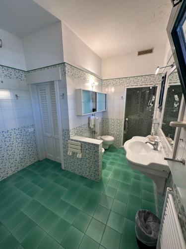 y baño con lavabo blanco y aseo. en Piccadilly Penthouse with Jacuzzi en Lido di Camaiore