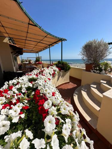 a bunch of white and red flowers on a building at Piccadilly Penthouse with Jacuzzi in Lido di Camaiore