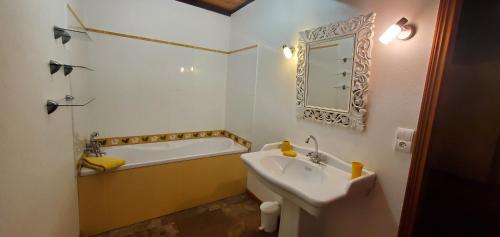 a bathroom with a tub and a sink and a mirror at GITE LE FOUR DE SULIATUS in Seuillet