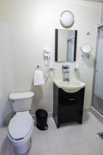 a bathroom with a toilet and a sink and a mirror at QualiteGuest/ Departamento Polanco/CDMX in Mexico City