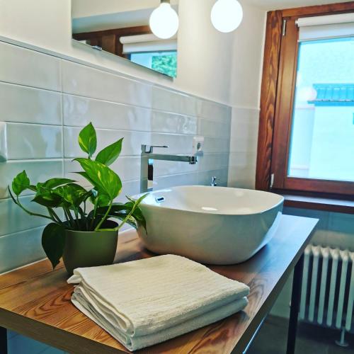 un baño con lavabo y una planta sobre una mesa en Sentiero Verde B&B en Formazza