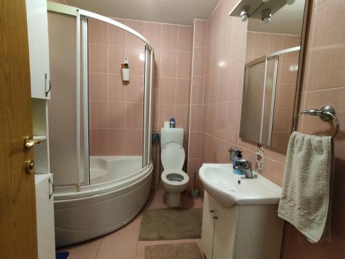 a bathroom with a toilet and a sink and a shower at Stan na dan Brcko MBRadic zgrada in Brčko