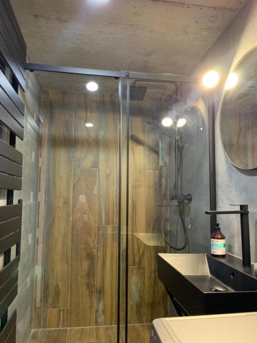 La salle de bains est pourvue d'une douche et d'un lavabo. dans l'établissement Casa di Giacobbe Loft apartment Amalfi, à Frýdlant nad Ostravicí